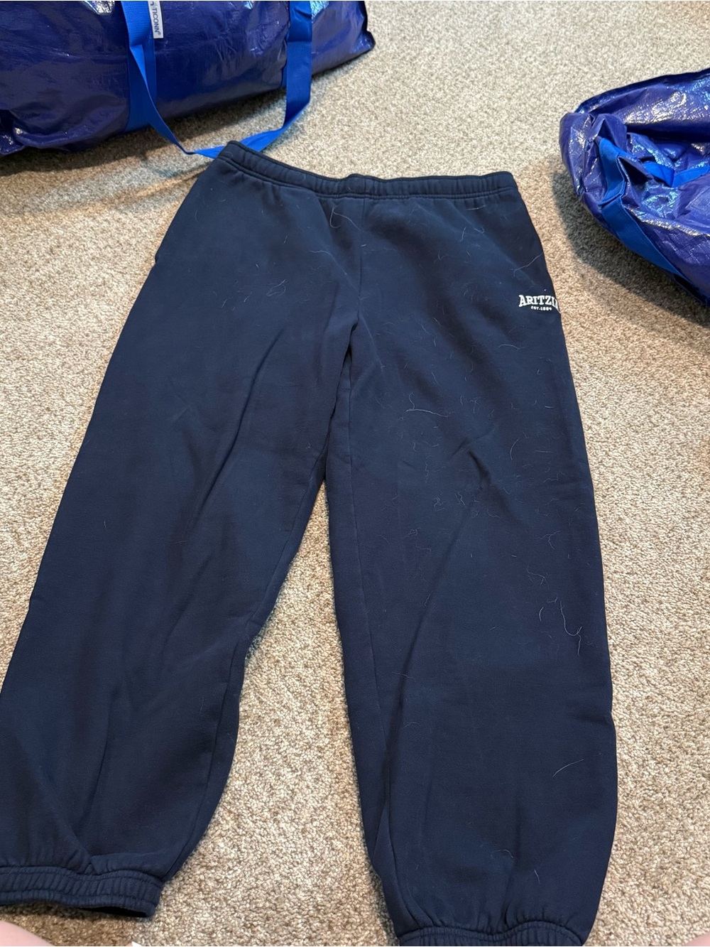 Aritzia Sweatfleece Mega Embroidered Logo Sweatpants